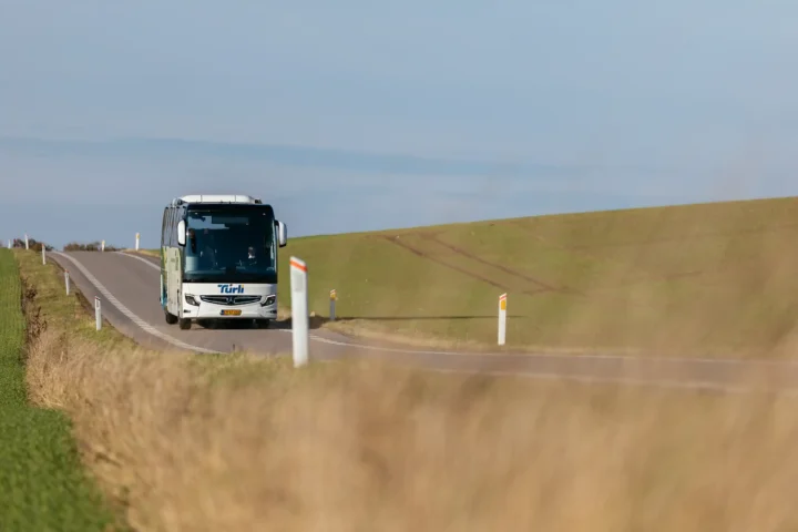 Turli bustur på landevej i natur
